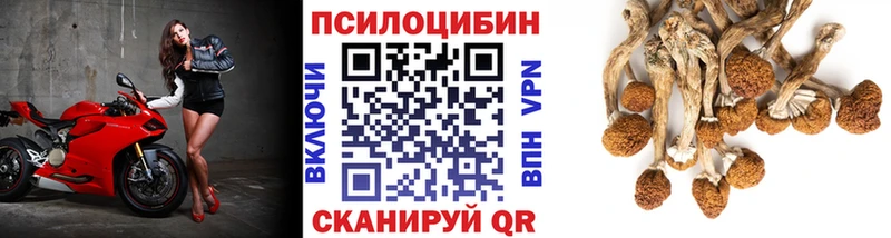 наркотики  Вуктыл  Галлюциногенные грибы мухоморы 